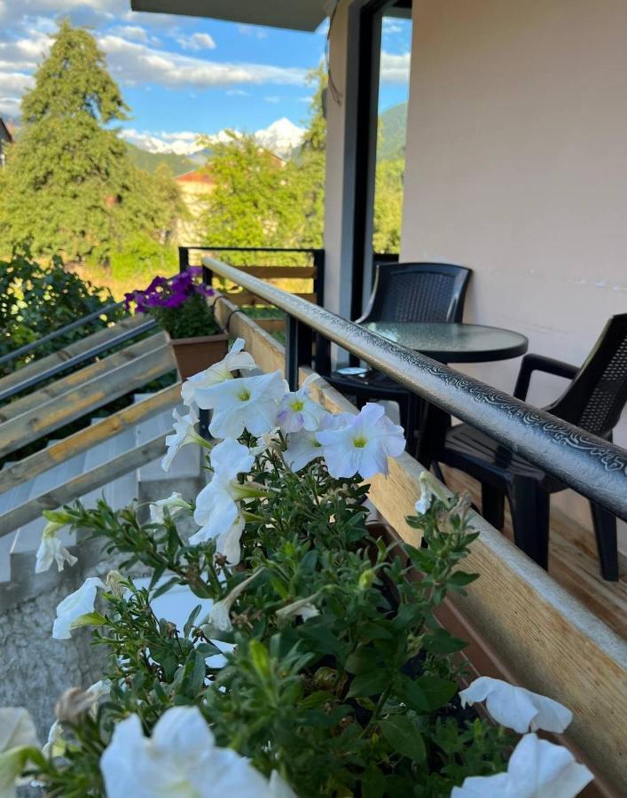 Monte Bianco Bed and Breakfast Mestia Exteriör bild